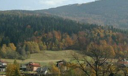 POLTURIZM